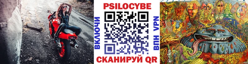 Галлюциногенные грибы Psilocybe  маркетплейс как зайти  Омск 