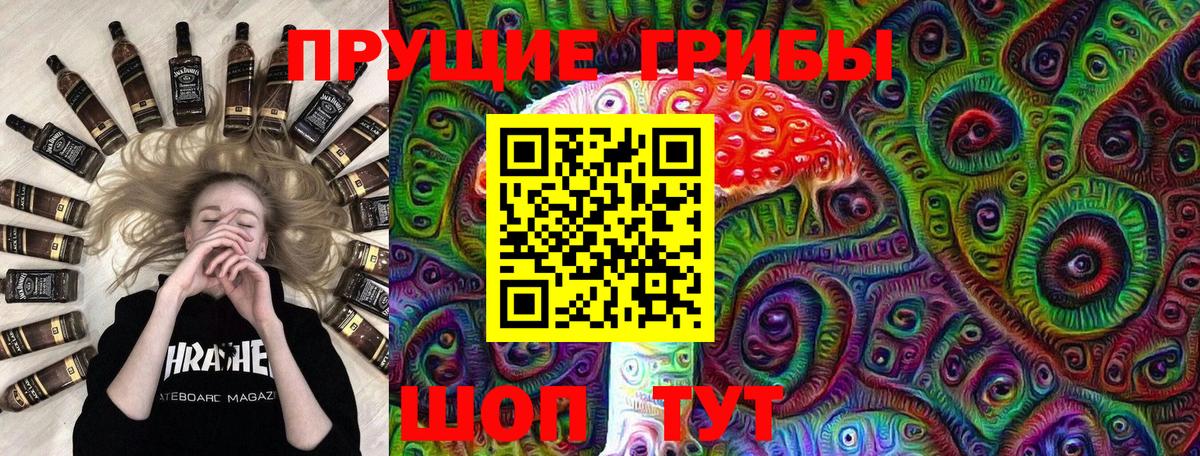 Омск  Псилоцибиновые грибы Cubensis  Вход с VPN 